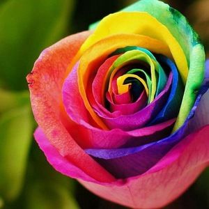 Meet your Posher, Mariah